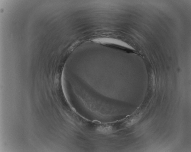 X0000066540271200603311852