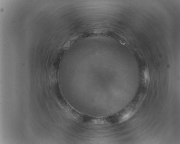 X0000066540272200603311852