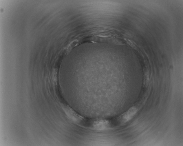 X0000066540274200603311852