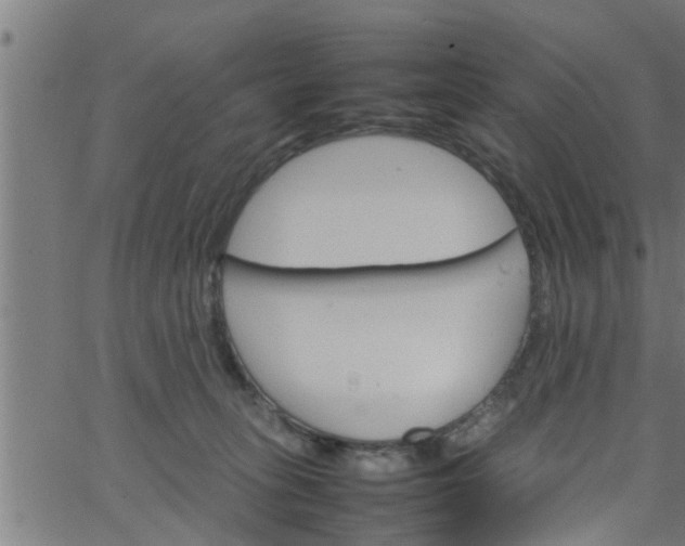 X0000066540275200603311852