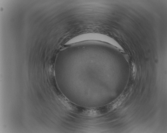 X0000066540276200603311852