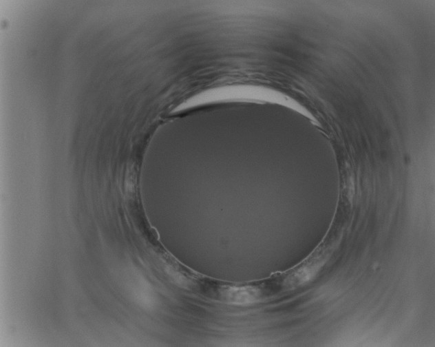 X0000066540277200603311852