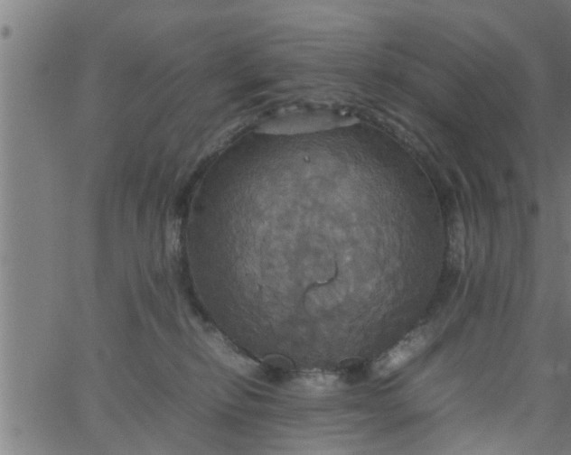 X0000066540278200603311852