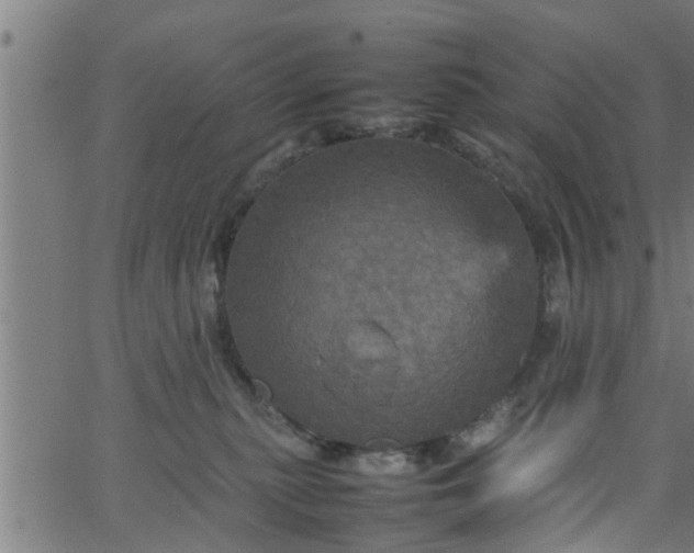 X0000066540279200603311852