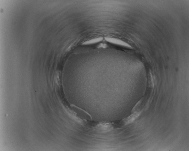 X0000066540280200603311852