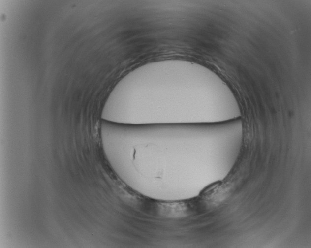 X0000066540281200603311852