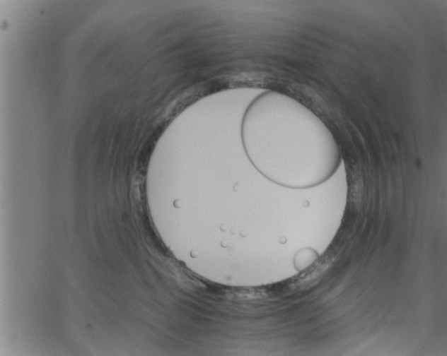 X0000066540282200603311852