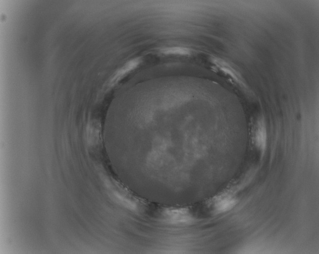 X0000066540283200603311852