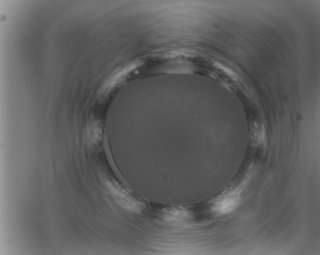 X0000066540284200603311852