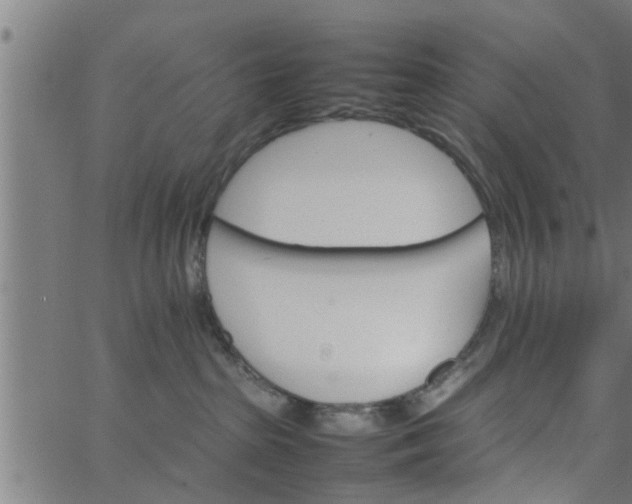 X0000066540285200603311852