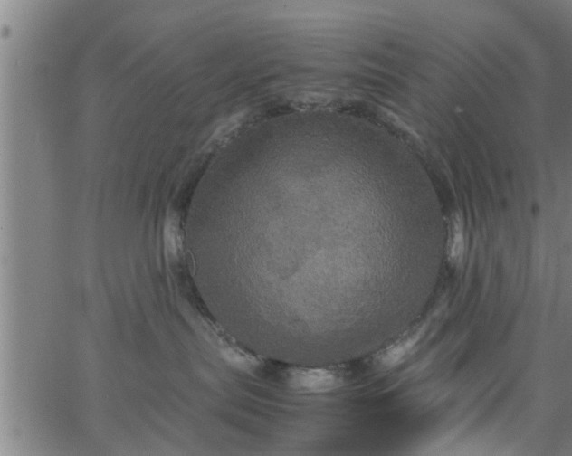 X0000066540287200603311853