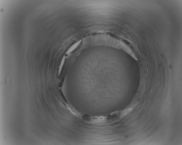 X0000066540288200603311853