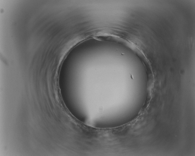 X0000066540289200603311852