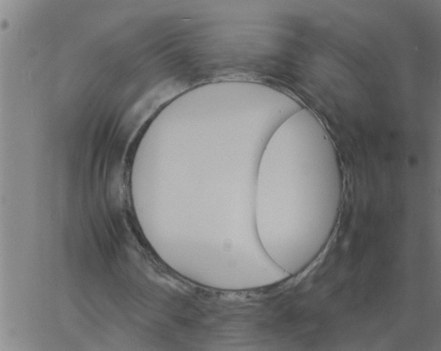 X0000066540290200603311852