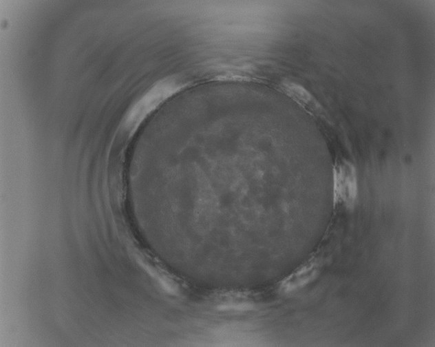 X0000066540291200603311852