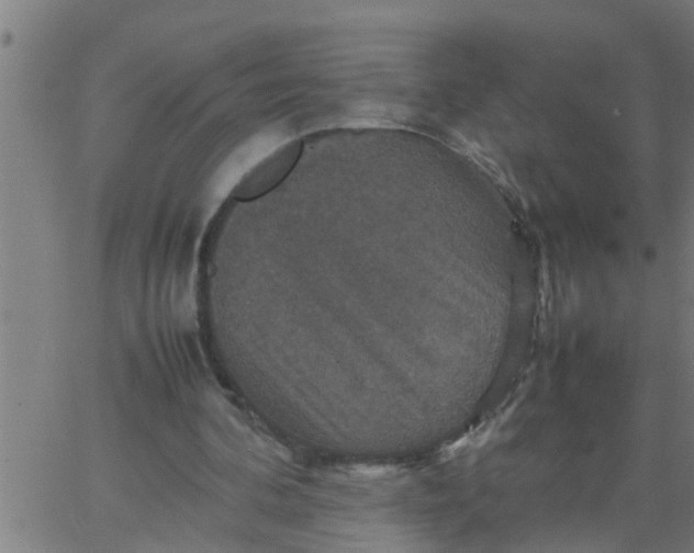 X0000066540292200603311852