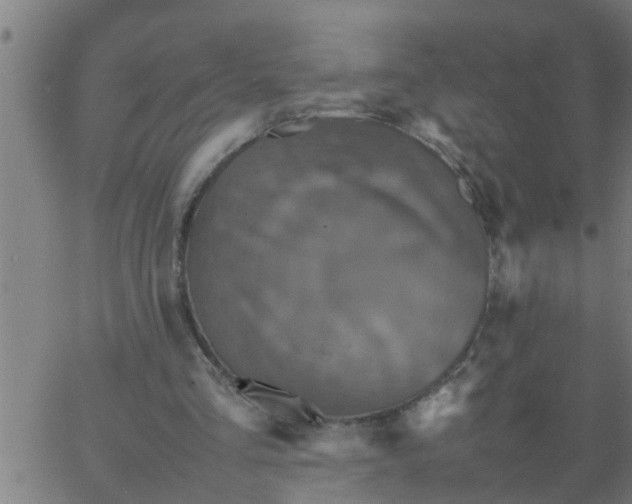 X0000066540293200603311852