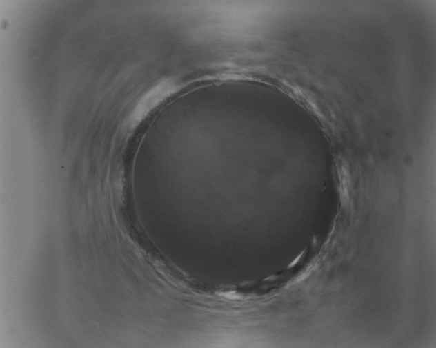 X0000066540295200603311852