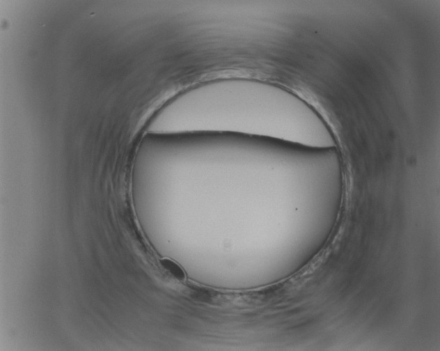 X0000066540297200603311852