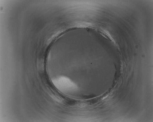 X0000066540299200603311852