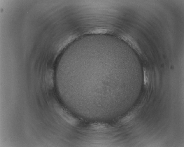 X0000066540300200603311852