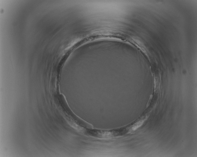 X0000066540301200603311852