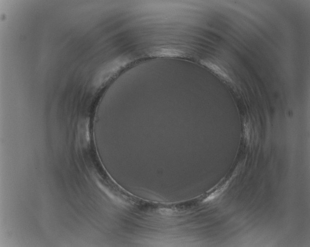 X0000066540302200603311852