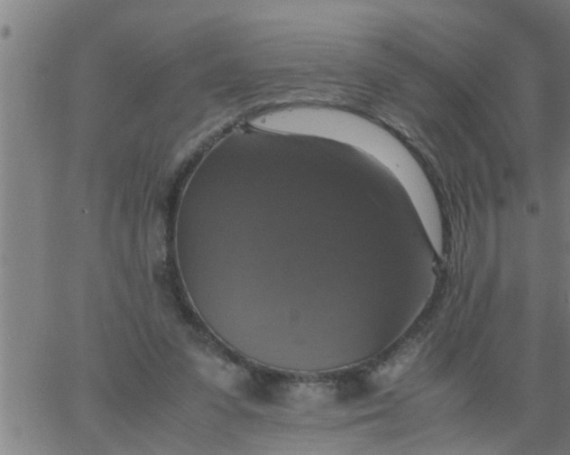 X0000066540303200603311852