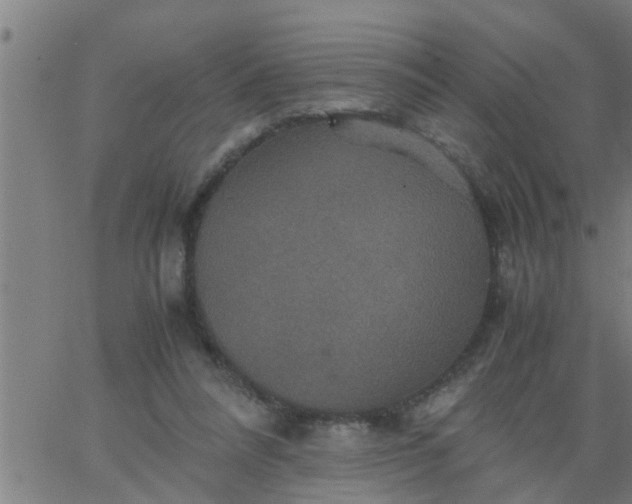 X0000066540304200603311852