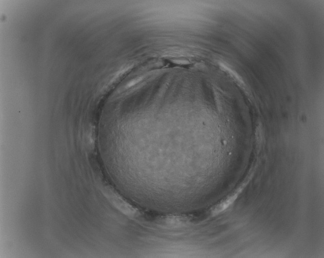 X0000066540305200603311851