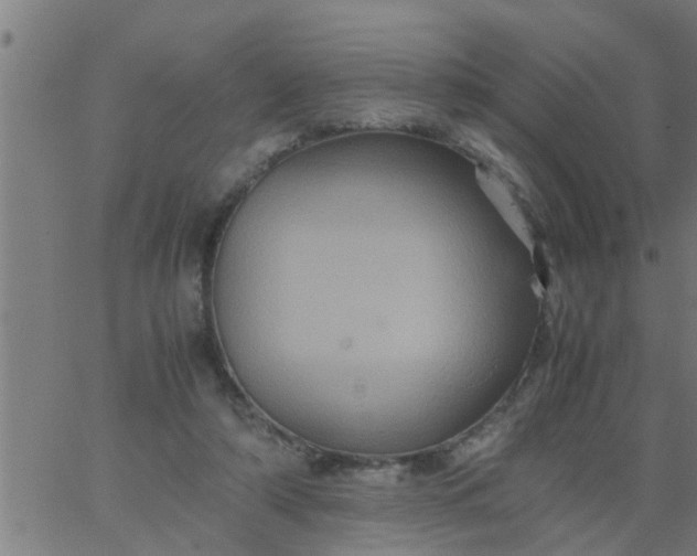 X0000066540306200603311851