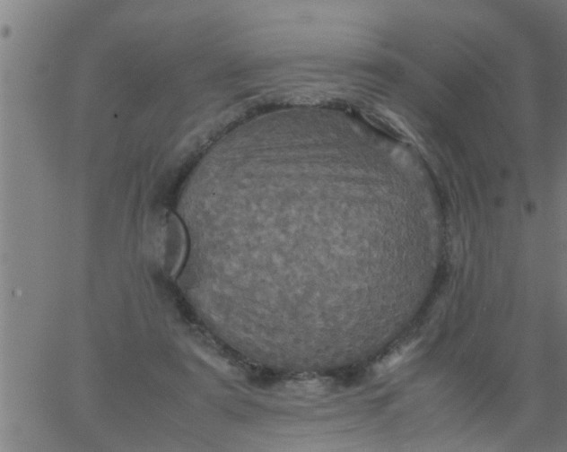 X0000066540307200603311851