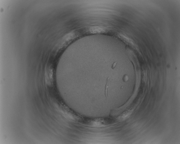 X0000066540308200603311851