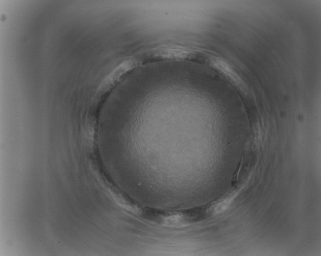 X0000066540309200603311851