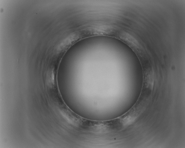 X0000066540310200603311851