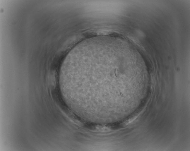 X0000066540311200603311851