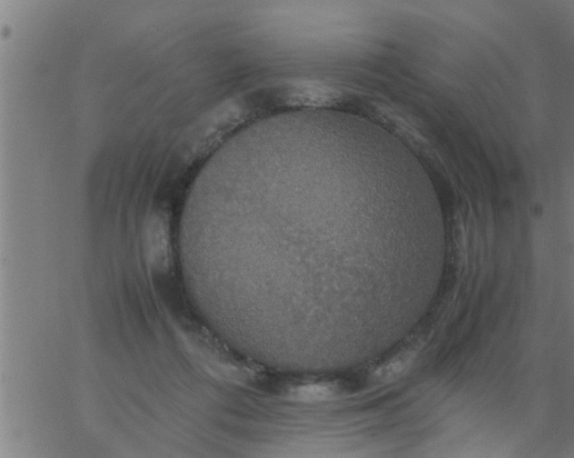 X0000066540312200603311851