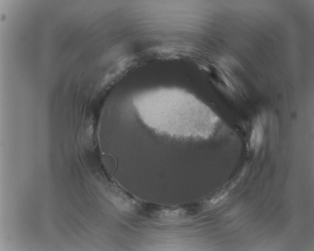 X0000066540314200603311851