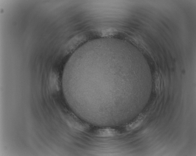 X0000066540316200603311851