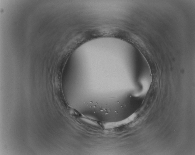 X0000066540317200603311851