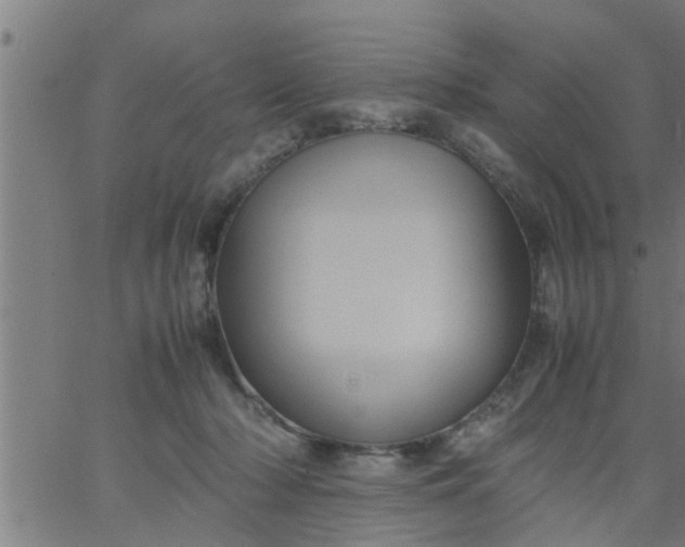 X0000066540318200603311851