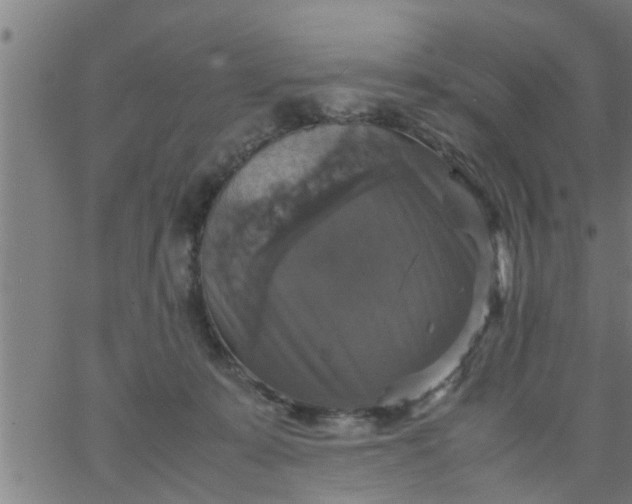 X0000066540319200603311851