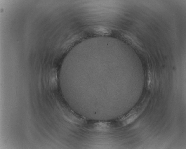 X0000066540320200603311851