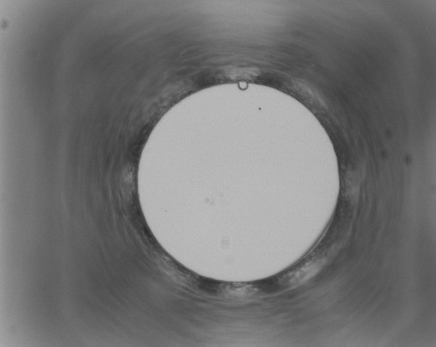 X0000066540321200603311851