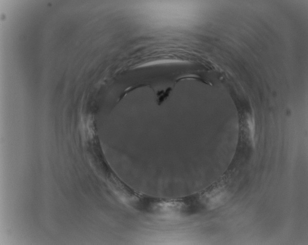 X0000066540323200603311851