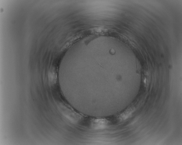 X0000066540324200603311851