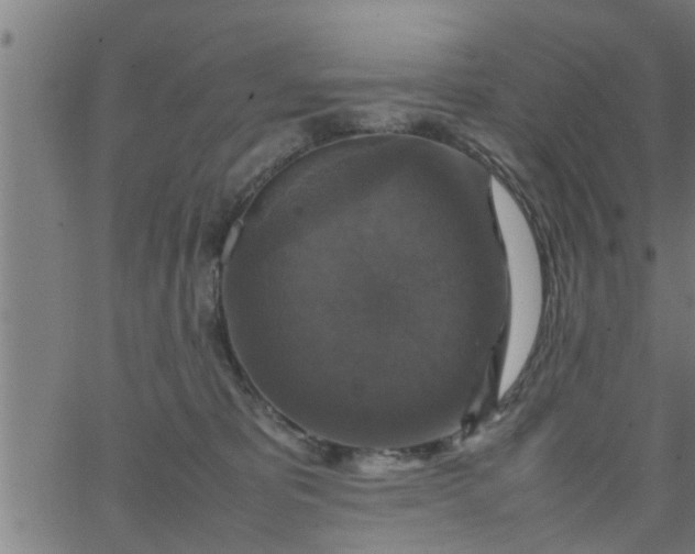 X0000066540325200603311851