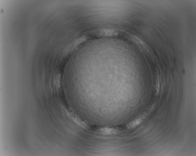 X0000066540326200603311851