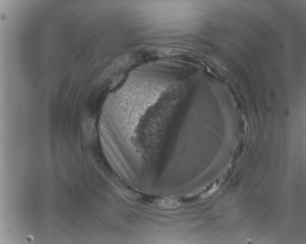 X0000066540327200603311851