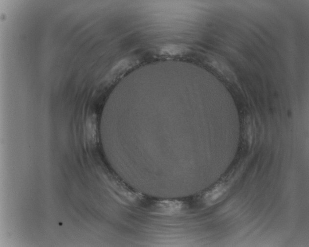 X0000066540328200603311851